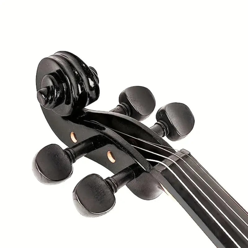 Electric Violin Full Size 4/4, Black Silent Electric Violin, Solid Wood Metallic Electric Fiddle Beginner Kit For Adults Teens